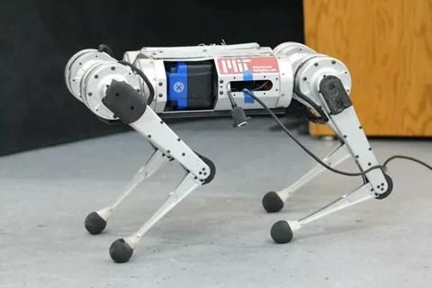 This Robot Learned to Walk