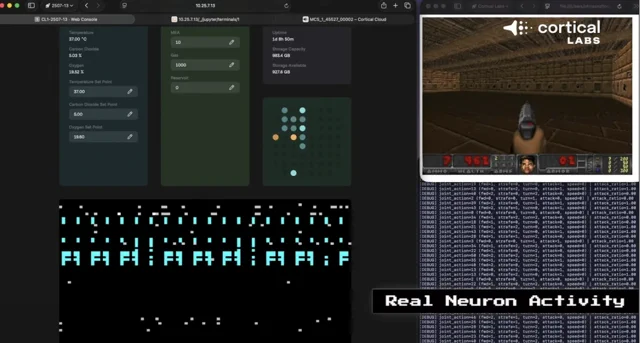 मस्तिष्क कोशिकाओं से चलेगा AI: Cortical Labs का बड़ा कारनामा