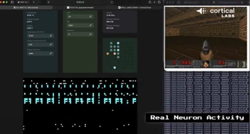 Cortical Labs Plugs Human Brain Cells Into an LLM After They Mastered DOOM