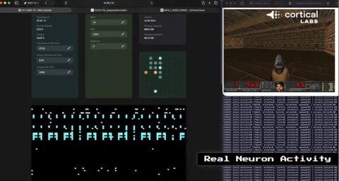 Cortical Labs Plugs Human Brain Cells Into an LLM After They Mastered DOOM