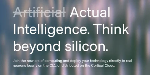 파이썬 코드로 SDK를 설치하는 방법을 보여주는 Cortical Labs 개발자 문서 스크린샷.