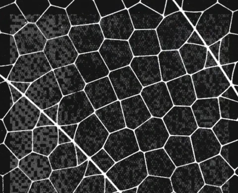 Anthropic’s Glasswing: The Plan to Stop Skynet Before It Starts