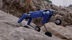 DOBOT Rover X1: Robotkutya mindenkinek?