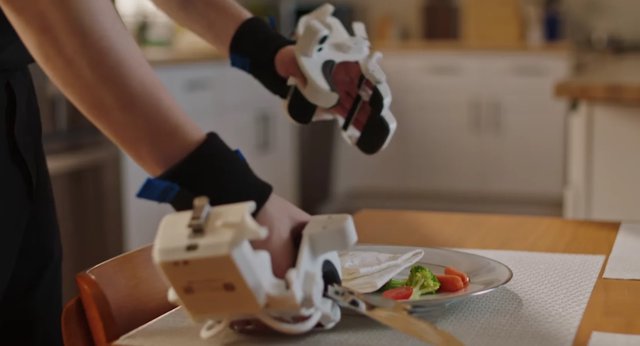 Robot Training: Human Teachers vs YouTube