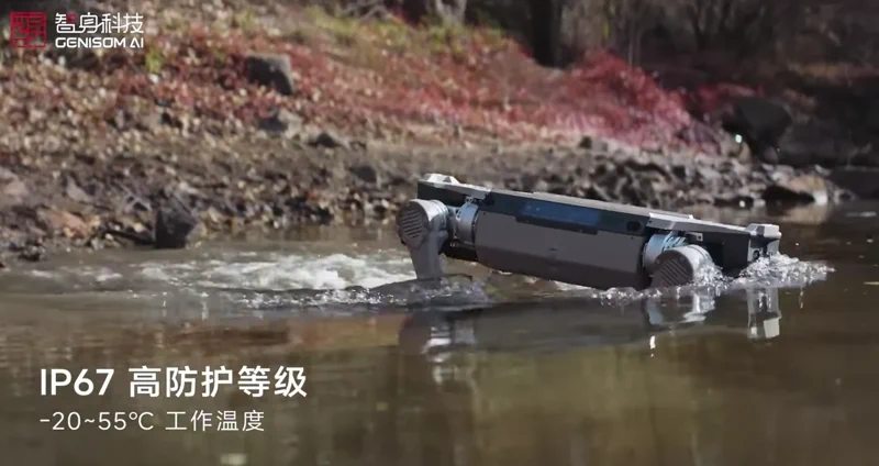 De M1 Robot Hond van Genisom Kan Zwemmen en Is Klaar voor Werk
