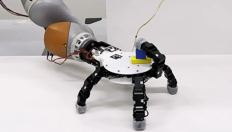 EPFLの新型ロボハンド：掌を「溶かして」掴む、T-1000さながらの変幻自在なグリップ