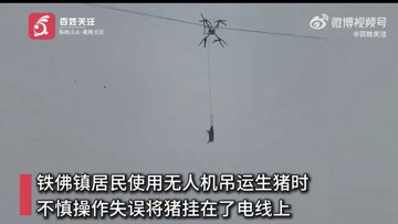 Quand les cochons volent : un drone sème le chaos en Chine