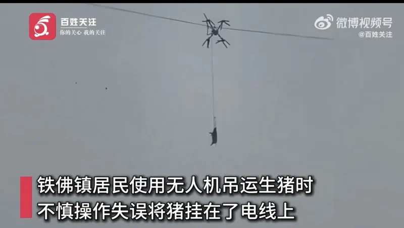 「空飛ぶ豚」のドローン空輸が大失敗、村全体を10時間の停電に追い込む