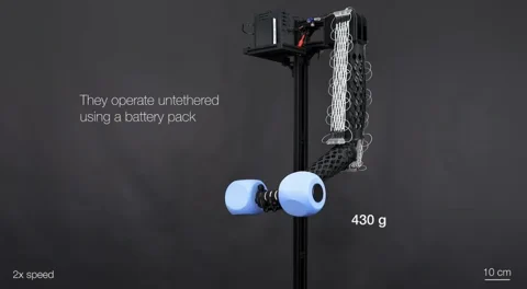 This Machine-Washable Muscle Fiber Can Lift 200x Its Own Weight