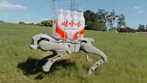 AgiBot يطلق ثلاثية من الروبوتات رباعية الأرجل