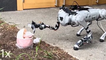 Quadrupeds Learn to Manipulate with Human2LocoMan