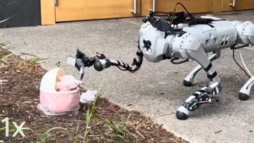Quadrupeds Learn to Manipulate with Human2LocoMan