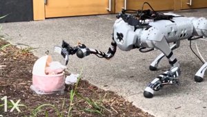 Quadrupeds Master Manipulation with Human2LocoMan