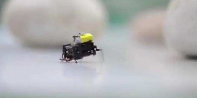 Pekinger Forscher entwickeln ultraschnellen 2cm-Mikroroboter in Insektenstudie