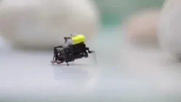 Beijing Researchers Create Ultrafast 2cm Microbot in Insect Study