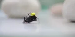 Pekingi kutatók ultrasebességű 2 cm-es mikrorobotot alkottak rovar-tanulmányban