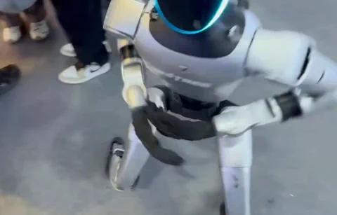 Unitree H1 Attacks Dennis Hong, Skips Apology