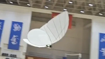 이 생체모방 나비, 섬뜩할 정도로 진짜 같다