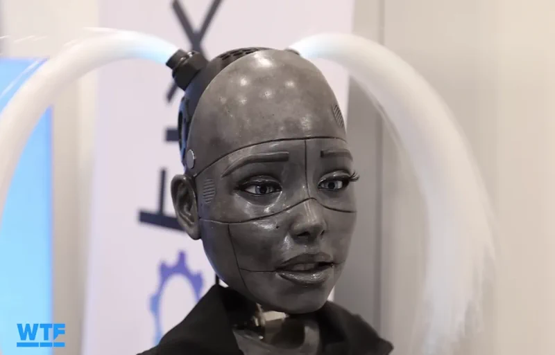 David: el robot de Realbotix con personalidad magnética