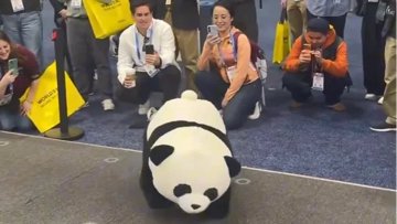 AGIBOT's Panda Robot Does Backflips. Seriously.