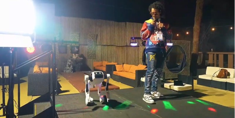 PrimeT1 Robot Can't Decide to Be Bipedal or a Quadruped