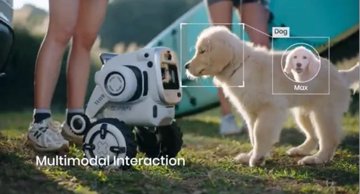 Sentigentの小型ロボ「Rovar」がキャンプの相棒に。荷物運びからパトロールまでお任せ