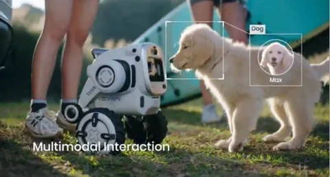 Rovar: A robotizált túratárs, aki őrzi a táborhelyedet