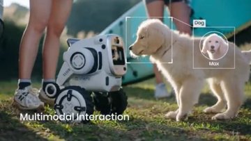 Rovar: A robotizált túratárs, aki őrzi a táborhelyedet