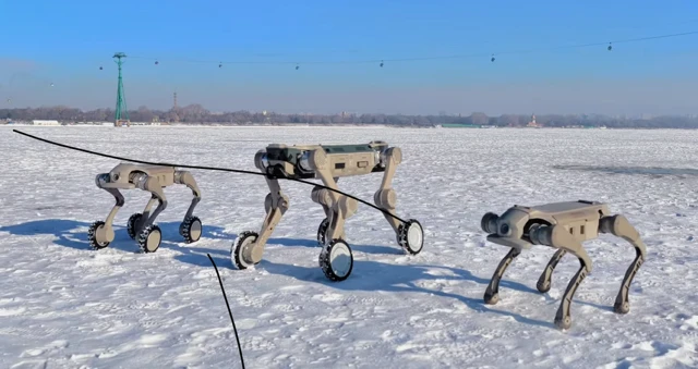 Genisom domina el hielo: robots que esquían mejor que tú