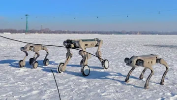 Genisom's Robots Are Better at Winter Sports Than You