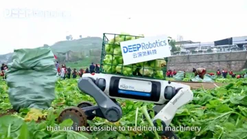 This High-Tech Robo-Dog's New Job is Hauling Cabbages