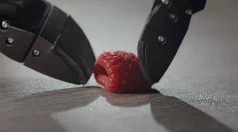 EKA 로봇, 새로운 AI로 속도와 정교함의 한계 극복