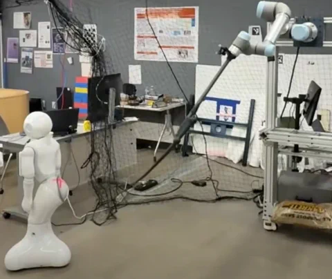 CMU ensina braço robótico a chicotear robô Pepper pela ciência