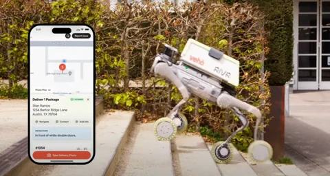 Wheeled-Legged Robots Tackling Last-Mile Delivery Challenges